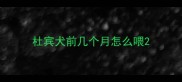 杜宾犬前几个月怎么喂
