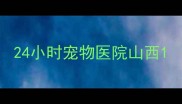 24小时宠物医院山西