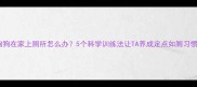 狗狗在家上厕所怎么办5个科学训练法让TA养成定点如厕习惯