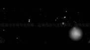 狗狗疫苗冷冻保存全攻略正确方法与注意事项确保免疫效果