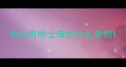 哈士奇哈士奇吃什么食物