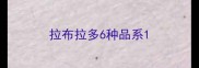拉布拉多6种品系