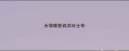 无锡哪里有卖哈士奇