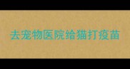 去宠物医院给猫打疫苗