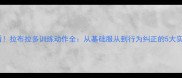 新手必看拉布拉多训练动作全从基础服从到行为纠正的5大实用技巧