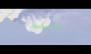 小狗狗拉黑色怎么处理