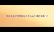 猫咪耳朵发热脑袋发热怎么办最新指南