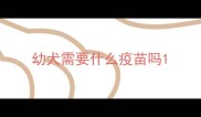 幼犬需要什么疫苗吗