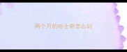 两个月的哈士奇怎么训
