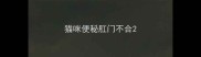 猫咪便秘肛门不合