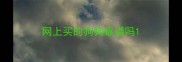网上买的狗狗靠谱吗