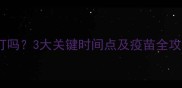 猫咪疫苗免疫必须打吗3大关键时间点及疫苗全攻略附注意事项
