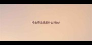 哈士奇发烧是什么样的