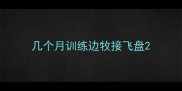 几个月训练边牧接飞盘