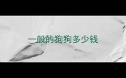 一般的狗狗多少钱