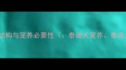 泰迪犬的生理结构与笼养必要性泰迪犬笼养泰迪犬生理结构