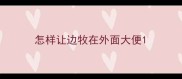 怎样让边牧在外面大便