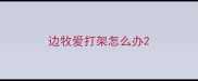 边牧爱打架怎么办