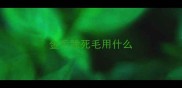 金毛除死毛用什么