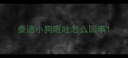 泰迪小狗呕吐怎么回事