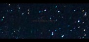 好听的狗狗名字霸气