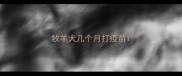 牧羊犬几个月打疫苗