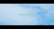 宠物狗怎么会得细小