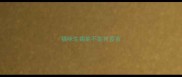 猫咪生病能不能打疫苗