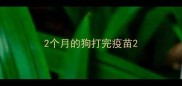 2个月的狗打完疫苗