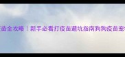 狗狗初次接种疫苗全攻略新手必看打疫苗避坑指南狗狗疫苗宠物健康养狗知识