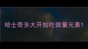 哈士奇多大开始吃微量元素