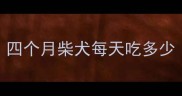 四个月柴犬每天吃多少
