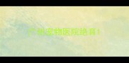 广州宠物医院绝育
