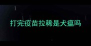 打完疫苗拉稀是犬瘟吗