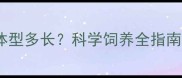 拉布拉多成犬标准体型多长科学饲养全指南附成长周期表