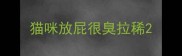 猫咪放屁很臭拉稀