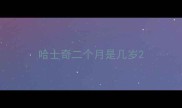 哈士奇二个月是几岁
