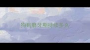 狗狗磨牙期持续多久