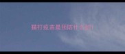 猫打疫苗是预防什么的