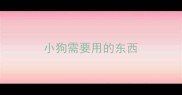 小狗需要用的东西
