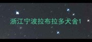 浙江宁波拉布拉多犬舍