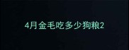 4月金毛吃多少狗粮