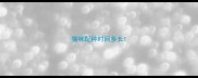 猫咪配种时间多长