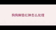 狗狗脚垫红肿怎么处理