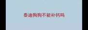 泰迪狗狗不能补钙吗