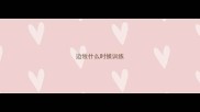 边牧什么时候训练