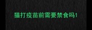 猫打疫苗前需要禁食吗