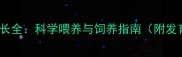 母金毛犬成长全科学喂养与饲养指南附发育时间表