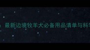 边牧饲养指南最新边境牧羊犬必备用品清单与科学养护全攻略