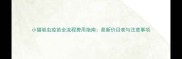 小猫驱虫疫苗全流程费用指南最新价目表与注意事项